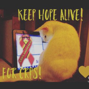 Cats help raise hope for CRPS/RSD